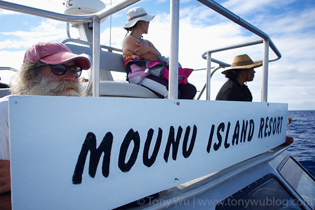 Mounu Island Resort, Kingdom of Tonga, whale watch boat
