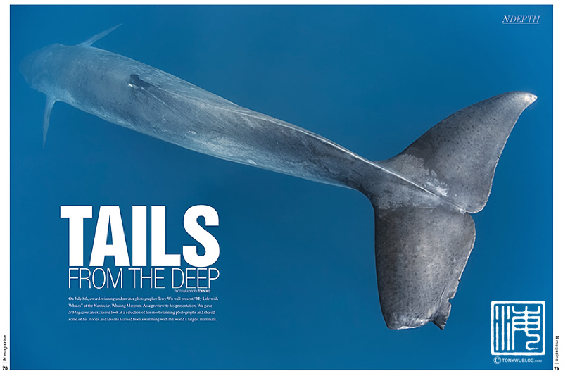 N Magazine Tony Wu whales feature July 2013