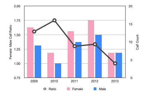 Humpback Whale Population Chart