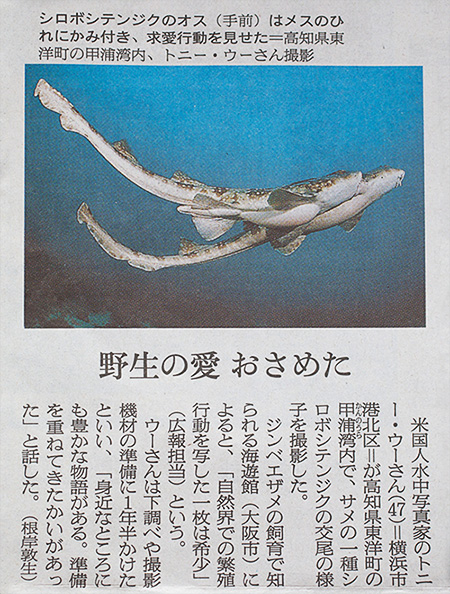 tony wu, Asahi Shimbun, 17 May 2014
