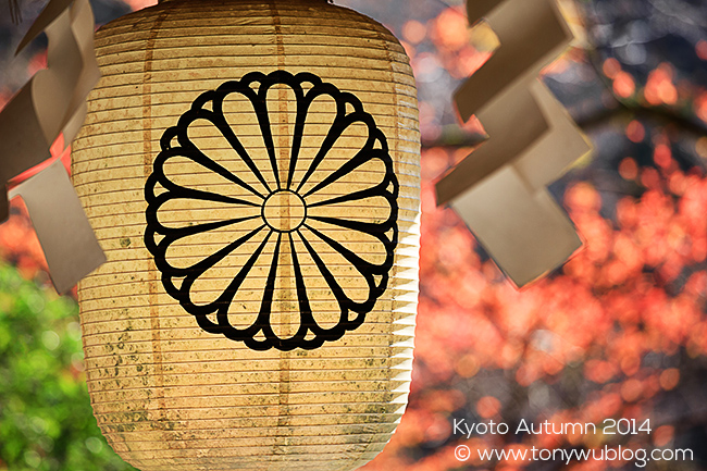 paper chochin lantern and autumn foliage, kyoto