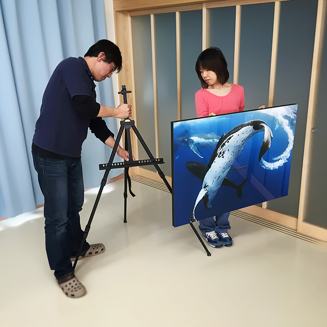 preparing humpback whale photos, Kochi Expo