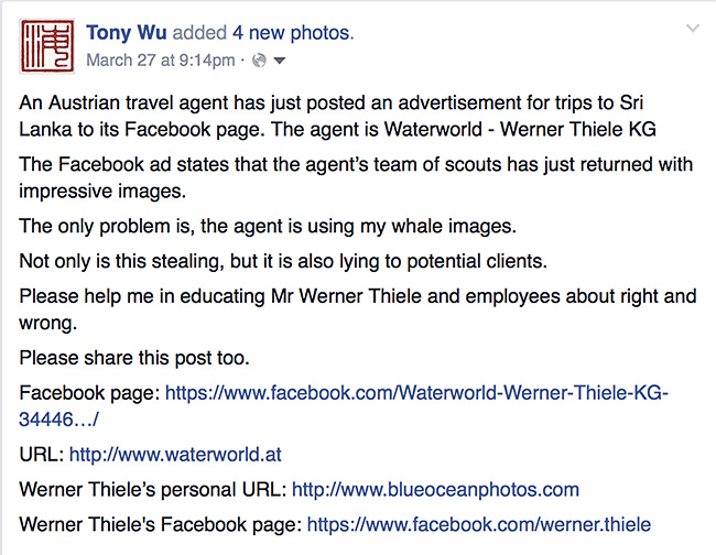My Facebook post about unauthorized usage of my whale photos