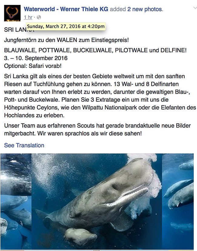 Waterworld Werner Thiele Facebook ad with unauthorized use of my whale photos