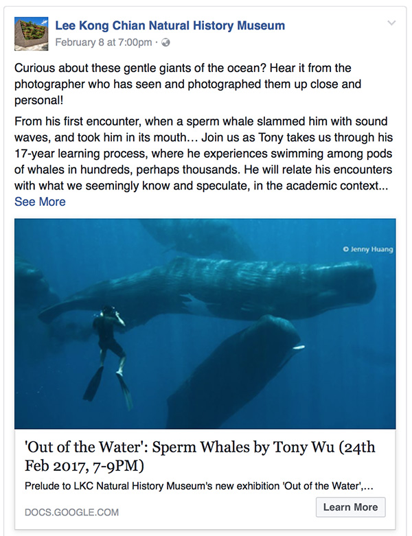 tony wu sperm whale talk singapore