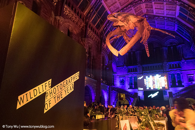 #WPY53 Award Banquet in Hintze Hall, Natural History Museum London