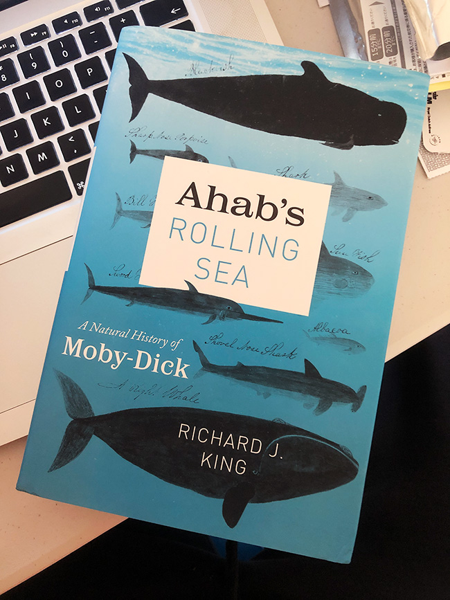  Ahab's Rolling Sea