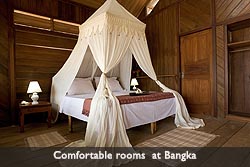 bangka room
