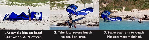 Kite Man