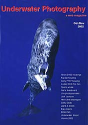sperm whale