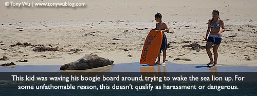 boogie board