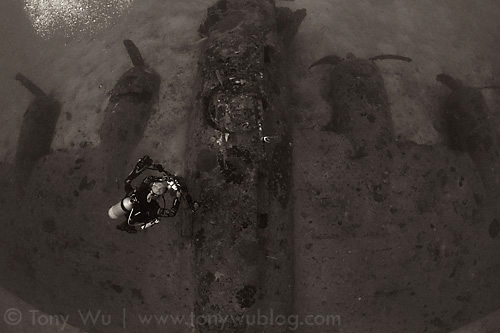 Blackjack B-17 bomber wreck at Cape Vogel