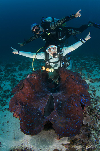 Divers and a giant clam
