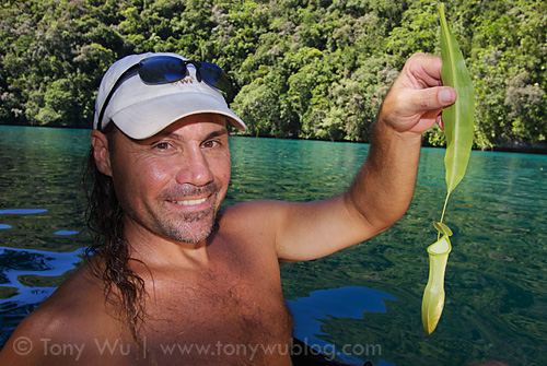 Ron showing us an insectivorous pitcher plant (Nepenthes mirabilis) while we were paddling to Disney Lake in Neco Bay