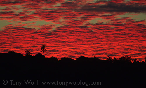 Sunset in Vava'u on Wednesday. Red skies at night were a good sign for the following day.