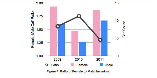 Graph showing ratio of female to male humpback whale calfs in Tonga