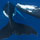 Whales, Whales, Whales