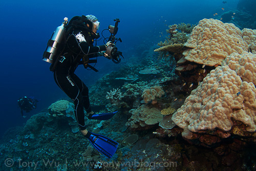 Divers using Poseidon Discovery Mark VI rebreather