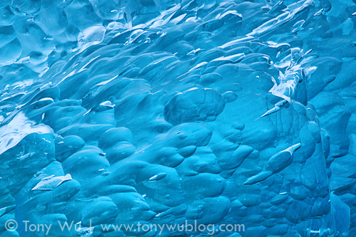 Close-up of an iceberg in Alaska
