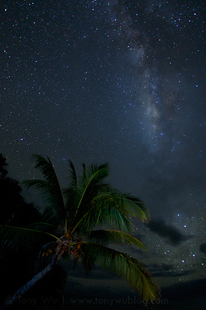Milky Way and coconut tree, Mounu Island Resort, Tonga