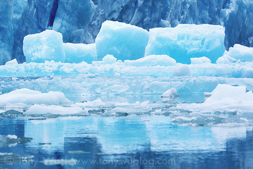 Natural ice sculpture, South Sawyer Glacier, Tracy Arm, Alaska