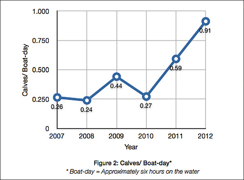 Number of humpback whale calves identified per boat-day on the water in Tonga