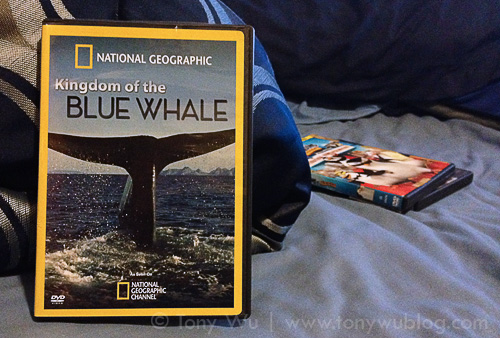 National Geographic documentary Kingdom of the Blue Whale