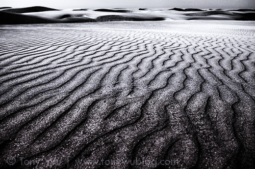 Sand dunes. Baja, Mexico.