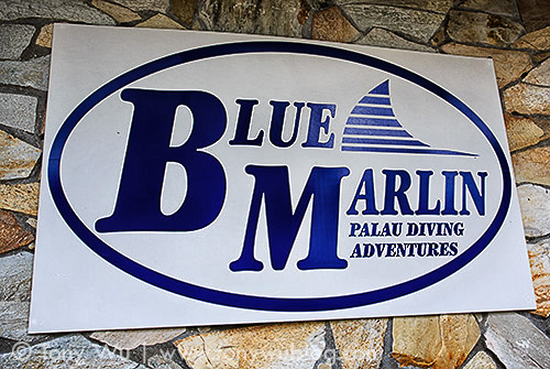 Blue Marlin dive shop in Palau