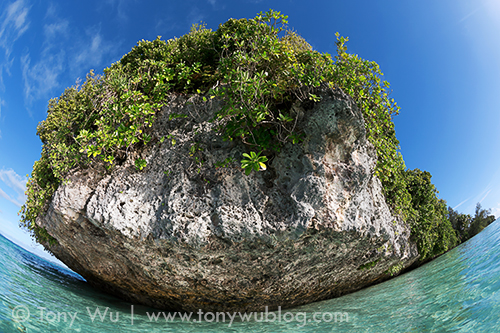 Close-up view of one of Palau's many beautiful Rock Islands