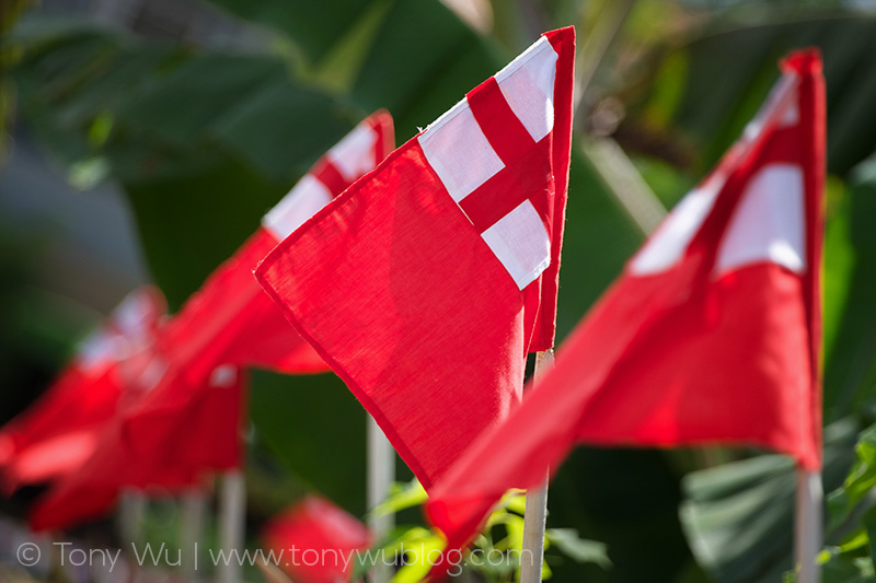 Flag of Kingdom of Tonga