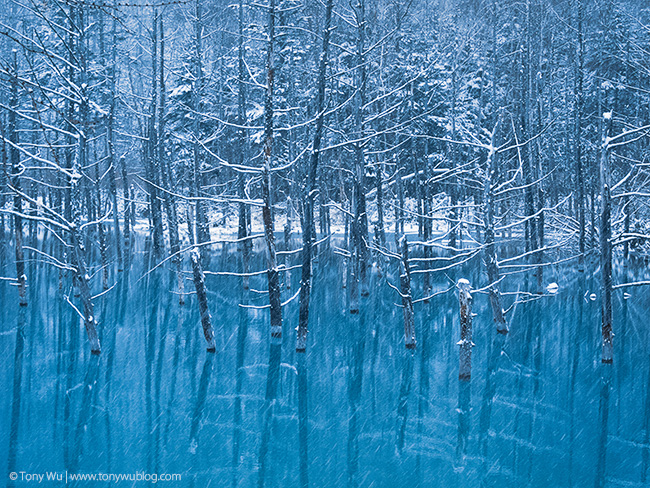 Blue Pond, Biei, Hokkaido, Japan