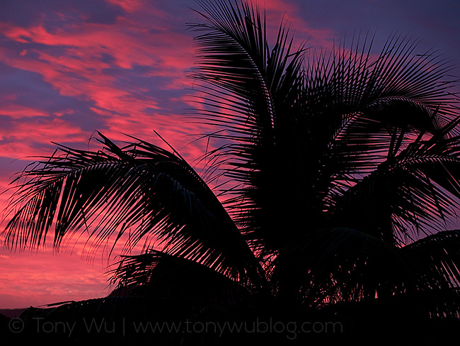 red skies at sunset, vava'u