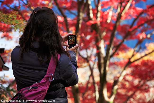 autumn foliage, Kurama-dera, Kyoto