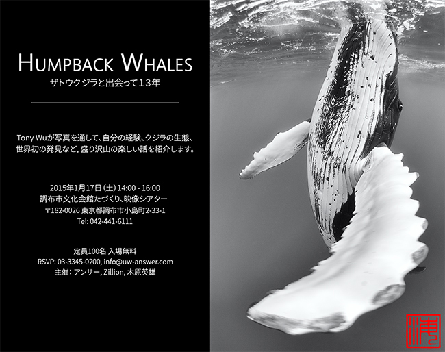 Tony Wu humpback whale presentation Tokyo