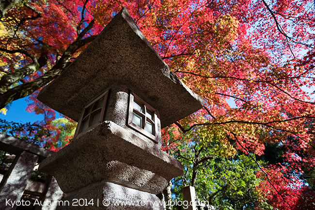 autumn foliage, Kita no Tenman-gu, Kyoto