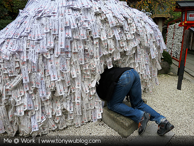 tony wu, Kyoto