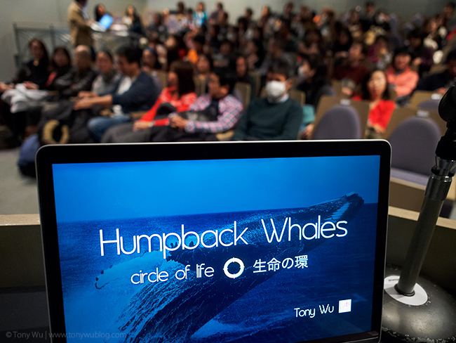 humpback whale presentation, tokyo, tony wu