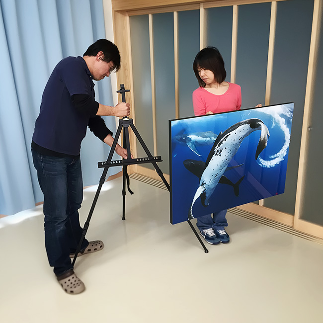 preparing humpback whale photos, Kochi Expo preparing humpback whale photos, Kochi Expo