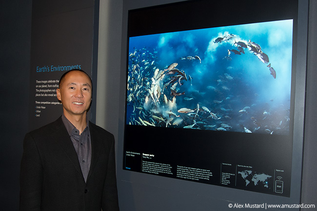 wildlife photographer of the year, tony wu