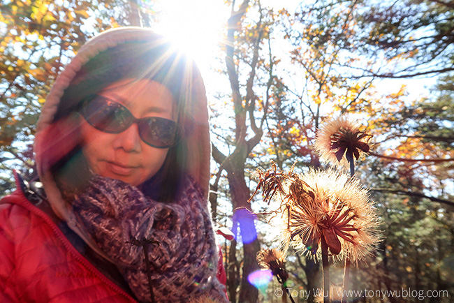 perfect autumn day, japan