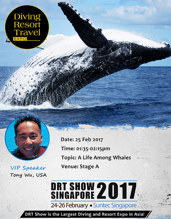 tony wu whale talk, drt