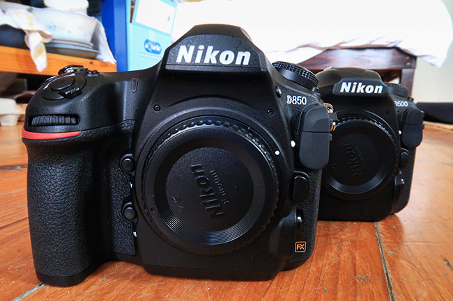 Nikon D850 and D500 cameras
