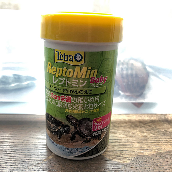 Baby food for baby turtles