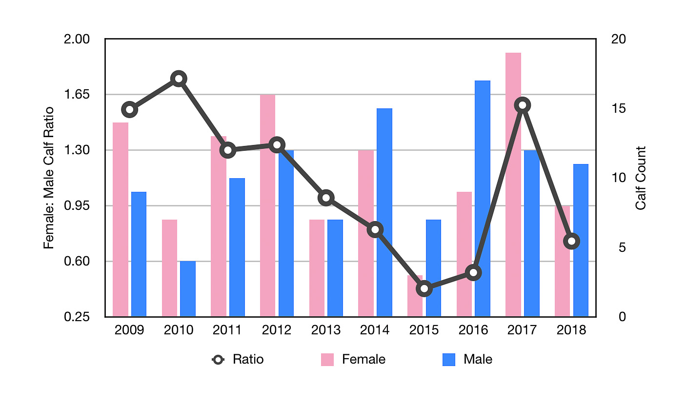 gender ratio of humpback whale calves, Tonga