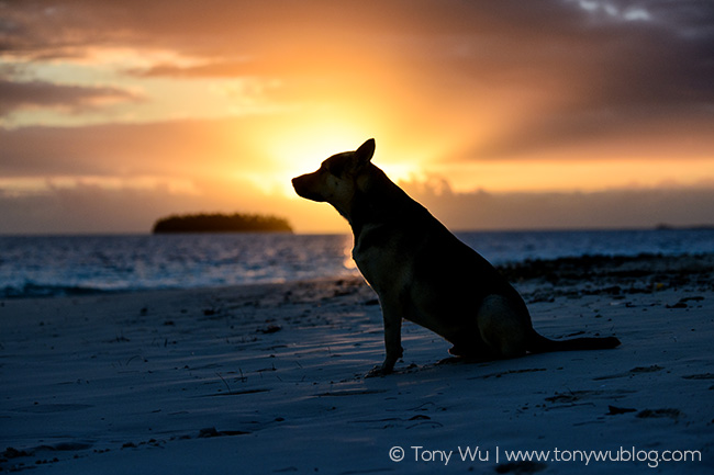 Sunrise Eueiki Island, Tonga