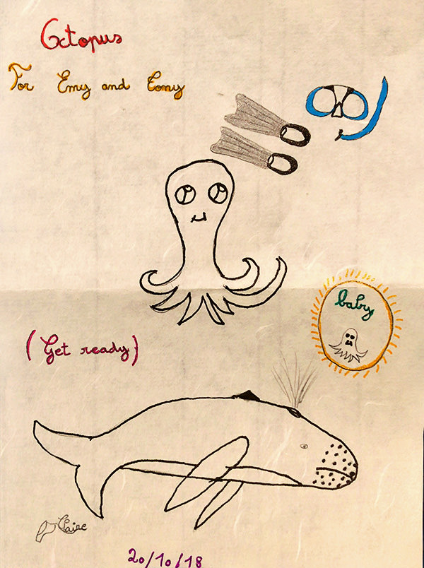 illustration of baby octopus by Claire