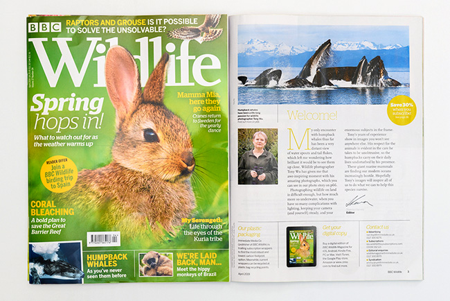 BBC Wildlife magazine, April 2019