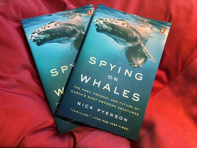 Spying on Whales, Nick Pyenson