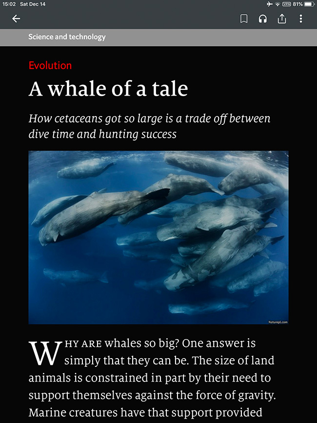 The Economist 16 December 2019 Whales